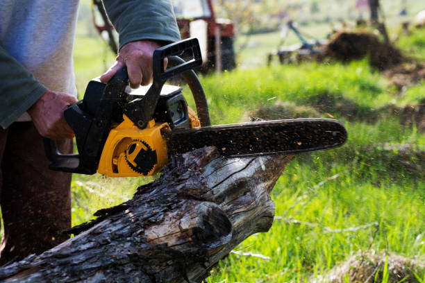 South Bloomfield, OH Tree Care Company